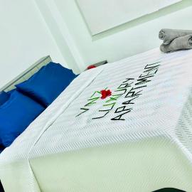 VNZ Luxury Apartment，位于Mba的酒店