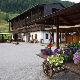 Albergo Riglarhaus，位于绍里斯的酒店