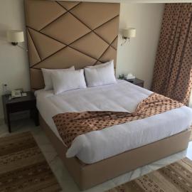 Royal Maadi Hotel，位于开罗的酒店