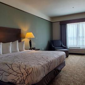 Best Western Plus Emory at Lake Fork Inn & Suites，位于Emory的酒店