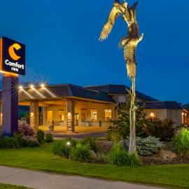 Comfort Inn Bozeman near University，位于博兹曼的酒店