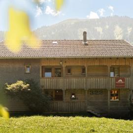 NigschHof，位于施科佩尔瑙的酒店