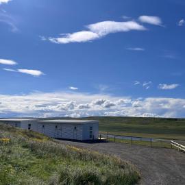Stóra-Ásgeirsá Horse Farm Stay，位于Víðigerði的酒店