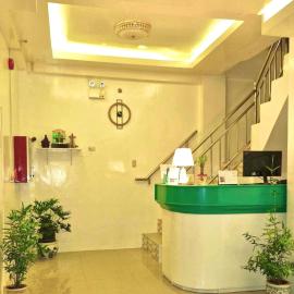 Drossgold Pension House，位于Tubigon的酒店