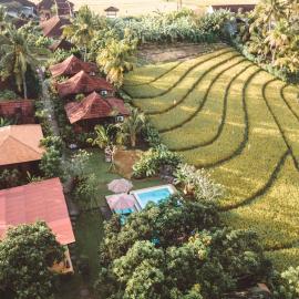 The Dukuh Retreat