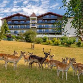Natur- und Wohlfühlhotel Kastenholz，位于维朔芬的酒店