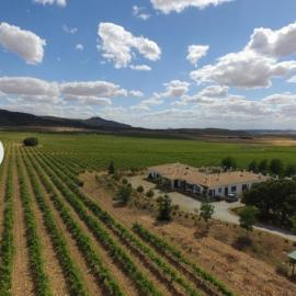 Finca El Romeral，位于Alpera的酒店