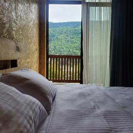 Eco Garden family hotel Svaneti，位于梅斯蒂亚的酒店