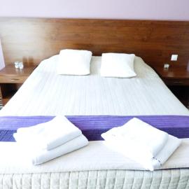Hotel-Aramis，位于斯卡日斯科-卡缅纳的酒店