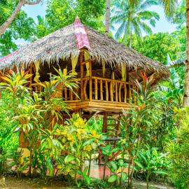 Water to Forest Ecolodge，位于洛博克的酒店