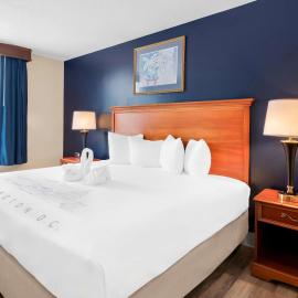 Best Western Potomac Mills，位于伍德布里奇的酒店
