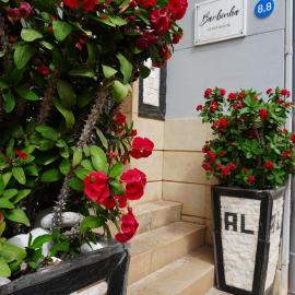 AL Barbinha，位于法鲁的酒店