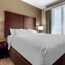 Comfort Suites Plano - Dallas North，位于普莱诺的酒店