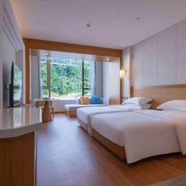 Wingate by Wyndham Libo Center，位于荔波的酒店