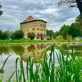 Młyn Witowice，位于Witowice的酒店