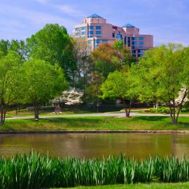 Falls Church Marriott Fairview Park，位于福尔斯彻奇的酒店
