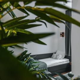 Studio apartmani Albero，位于伊万尼奇格勒的酒店