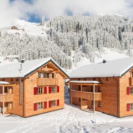 Alpin Chalet Schröcken，位于施勒肯的酒店