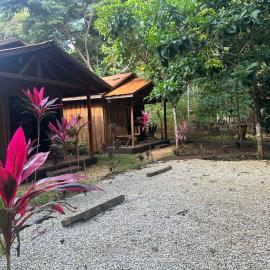 Finca Avellanas