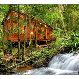 The Mouses House Rainforest Retreat，位于春溪的酒店