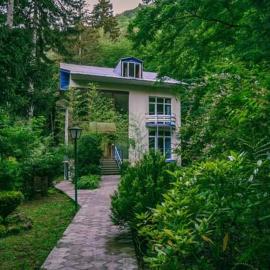 Nunisi Forest Hotel & SPA,位于Nunisi的酒店