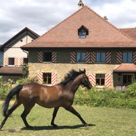 Ferme de Grandchamp，位于Boudry的酒店