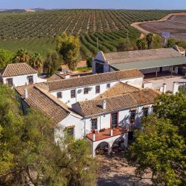 Luxurious Home In Santaella，位于Santaella的酒店