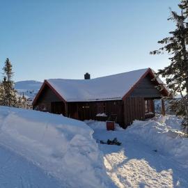 Høyfjellshytte，位于弗洛的酒店