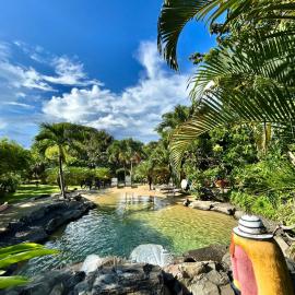 Cabanas Los Colibris Hotel Ecolodge,位于圣卡洛斯的酒店