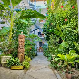 Kite House Cabarete across Kite Beach，位于喀巴里特的酒店