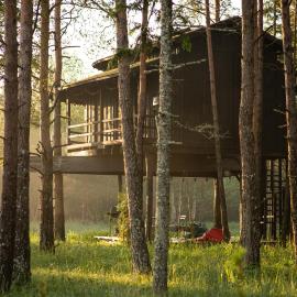 Treehouseestonia，位于Jõgisoo的酒店