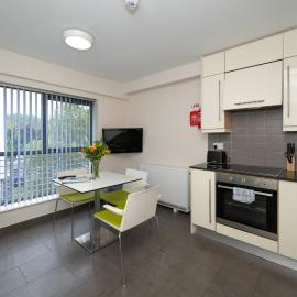Victoria Lodge - UCC Summer Beds，位于科克的酒店