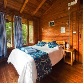Hotel El Abrazo del Arbol，位于明多的酒店