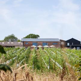 Tillingham Winery，位于拉伊的酒店
