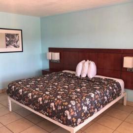 Economy Suites，位于温特黑文的酒店