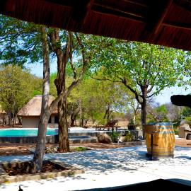 Timbila Game Lodge - Welcome to Land of Leopards and Buffalo，位于帕拉博鲁瓦的酒店