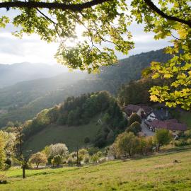 Logis Hôtel-Restaurant Auberge Du Mehrbachel，位于圣阿玛尼的酒店