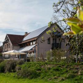 Landgasthof/Hotel Hirsch im Grünen，位于Mehrstetten的酒店