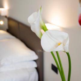 Hotel Plaza，位于San Martino Siccomario的酒店
