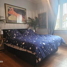 Serenity Big Room