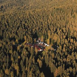 Forest Camp Val di Gresta