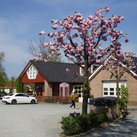 Campingpark de Linie，位于Opheusden的酒店