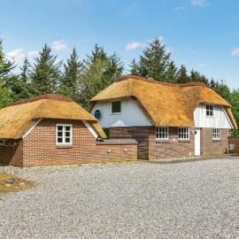Three-Bedroom Holiday Home In Ulfborg，位于乌尔夫堡的酒店