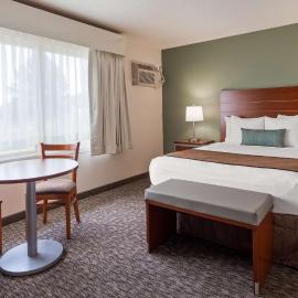 Best Western Buffalo Ridge Inn Near Mt Rushmore，位于卡斯特的酒店