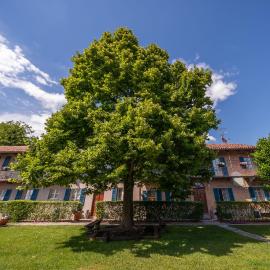 La Madernassa Resort - Casalora Dimora Storica di Charme，位于瓜热讷的酒店