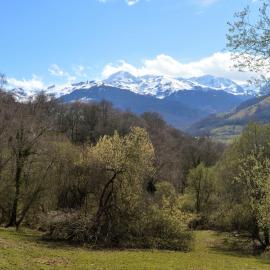 Le Perchoir des Pyrénées，位于Gerde的酒店