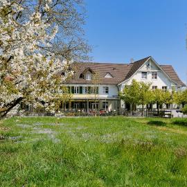 Landgasthof Seelust，位于Egnach的酒店