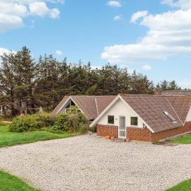 Amazing Home In Ringkøbing With Sauna，位于灵克宾的酒店