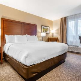 Comfort Inn & Suites，位于戈德里奇的酒店
