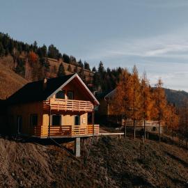 Village Brăduțu，位于Dămuc的酒店